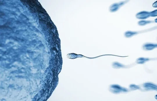 Link-Between-Testosterone-and-Sperm-Count
